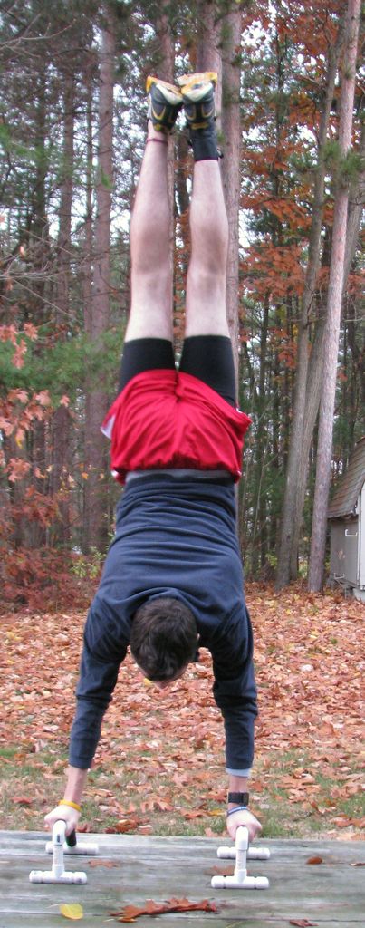 push up bars